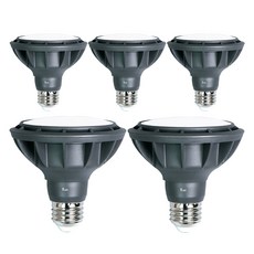 Gunsik LED 燈泡 燈具 軌道燈 15W PAR30 擴散型, 晝光色, 5個