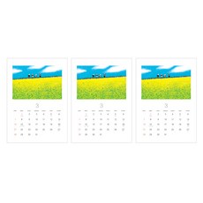 Design GomGom 2021年插畫掛曆, 混色, 3入