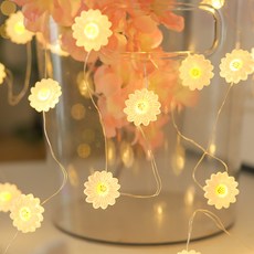 Roywing LED 花環裝飾燈串 30燈 3m, 白色, 1個