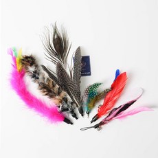 叮咚寵物 貓咪釣竿替換羽毛6件組, 顏色隨機, 1組