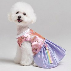 메종드독 한복 핸드메이드 라온제나 강아지옷, 핑크퍼플, 1개