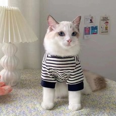 Yoreungae 寵物貓狗大學T衣服, 簡約條紋, 1個