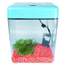 Rora Pet 壓克力方形LED魚缸, 櫻桃紅