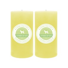 더허브샵 홈닥터 기능성 캔들, 애완동물&음식냄새, 570g, 2개