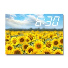 Homemine 帆布印刷畫框系列 LED時鐘 向日葵風景 A3, 16