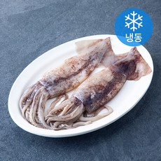 오바다 손질 통오징어 (냉동), 1개, 220g