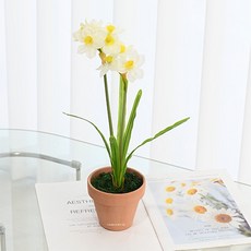 도시정원 조화 수선화 화분, 화이트(조화), 랜덤발송(토분), 1개