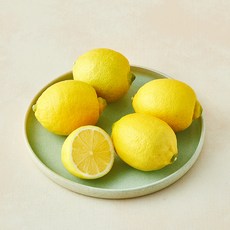 제이드가든 유기농 인증 제주 레몬, 500g, 1개