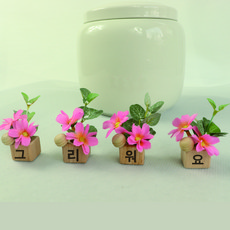 노블리 데이지우드 미니화분 4p 세트, 핑크, 1세트