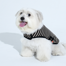 퍼피갤러리 강아지 잼잼 스트라이프 랩 베스트, 블랙, 1개
