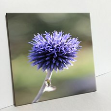 UDP 瓷磚畫框 A型 3802273, 單一顏色