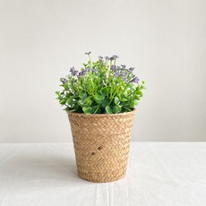 프레시가든 조화 별꽃 화분, 퍼플, 1개