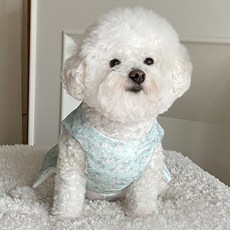 bydamsoomi 狗狗毛絨花朵背心, 薄荷綠