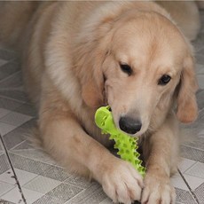 狗狗蝴蝶犬小狗自助牙刷Chika玩具固齒器型, 綠色, 1個