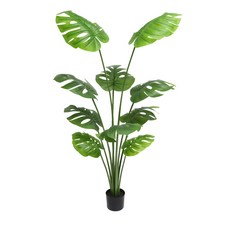 몬스테라 160cm, green, 1개