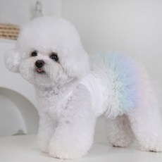 PASTEL PET 寵物迷你蓬蓬裙洋裝, 彩虹, 1個