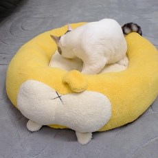 파스텔펫 반려동물 토실 엉덩이 쿠션, 옐로우, 1개