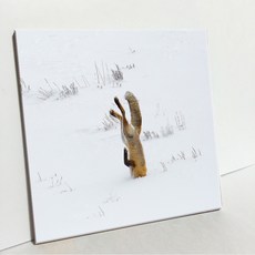 UDP 瓷磚畫框 A型 3848307, 單一顏色