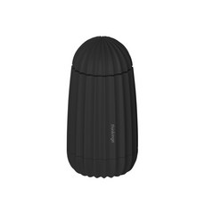 리씨상점 선인장 이쑤시개 면봉케이스, 1개, 블랙