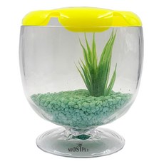 Rora Pet Most Pet酒紅色水族箱, 翡翠薄荷