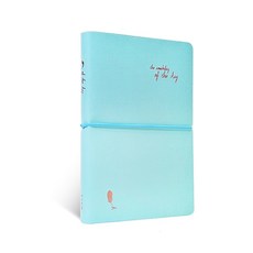 아이씨엘디자인 of the day 다이어리 만년형, 민트, 1개