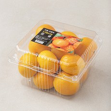 가족 고당도 13brix 감귤 소과, 1kg(소과), 1개