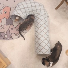 PETCA 고양이 지팡이형 터널 숨숨집, 1개, 그레이