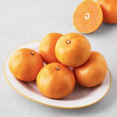 제이드가든 천혜향 중과, 1.8kg(6~9과), 1박스