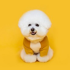 Flot 狗狗基本款馬卡龍T恤, 黃色