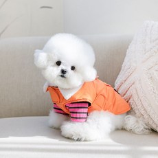 펫츠랜드 강아지 모던 케이프 패딩, 오렌지, 1개