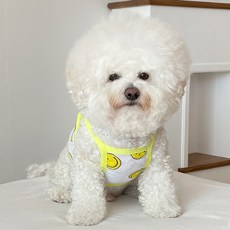 bydamsoomi 寵物微笑網眼短版背心, 黃色