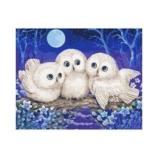 Play about 貓頭鷹之夜 DIY 傑作繪畫套組 40 x 50cm, 混合顏色