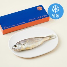 블루초이스 국내산 영광 참굴비 (냉동), 1개, 150g