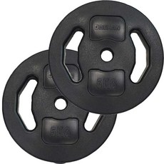 대한스포츠 세라믹 PVC 코팅 바벨, 블랙, 2개