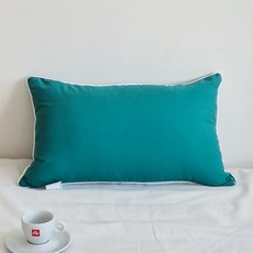 아임리빙 사계절 스윗엣지 통세탁 베개, 딥그린, 1개