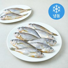초록바다 굴비 2미 (냉동), 5개, 700g
