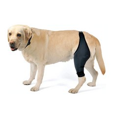 狗左後腿髕骨保護帶大砲 L, 黑色的, 1個