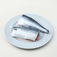 노량진 수산시장 중도매인 90번 생물삼치 구이용 (냉장), 1개, 500g