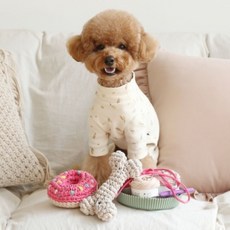 하비풀 반려동물 장난감 뜨개질 클래스 + DIY 키트, 1세트, 혼합색상