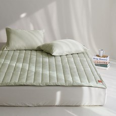 BOWELL 固定鬆緊帶防蟎薄墊, 智者