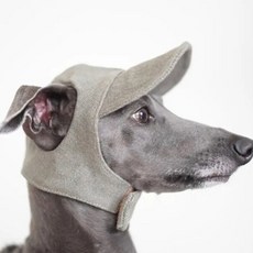 寵物棒球帽, 灰色的