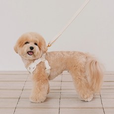 likalika 寵物小熊Bebe免持牽繩, 1個, 奶油色