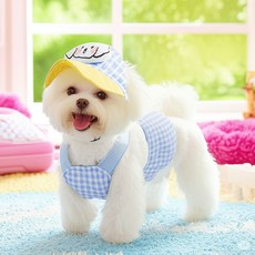 Yebodeul 狗狗胸背帶 + 牽繩 + 帽子 3件組, 1套, 藍色