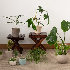 리빙숲 원목 접이식 미니 선반의자 중, 브라운, 1개