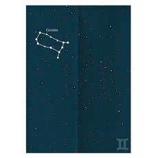 알럽홈 별자리패턴 패브릭 도어 멀티 커튼