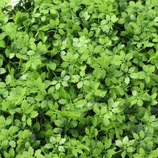 도매토피아 조화 정원인테리어 벽장식 인조잔디 60x40cm, 1개