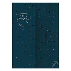 Ahope 流星隔間門簾 兩開式, Type 05