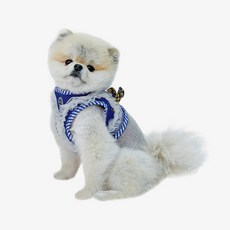 RealPet 狗狗網眼蕾絲胸背帶, 寶藍色