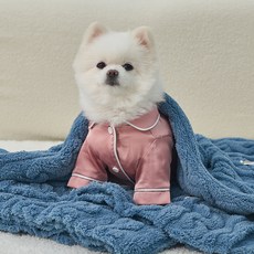 도그아이 반려동물 펫 꽈배기 담요, 로얄블루, 1개