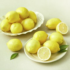더네이처 레몬 20~22입, 2kg, 1개